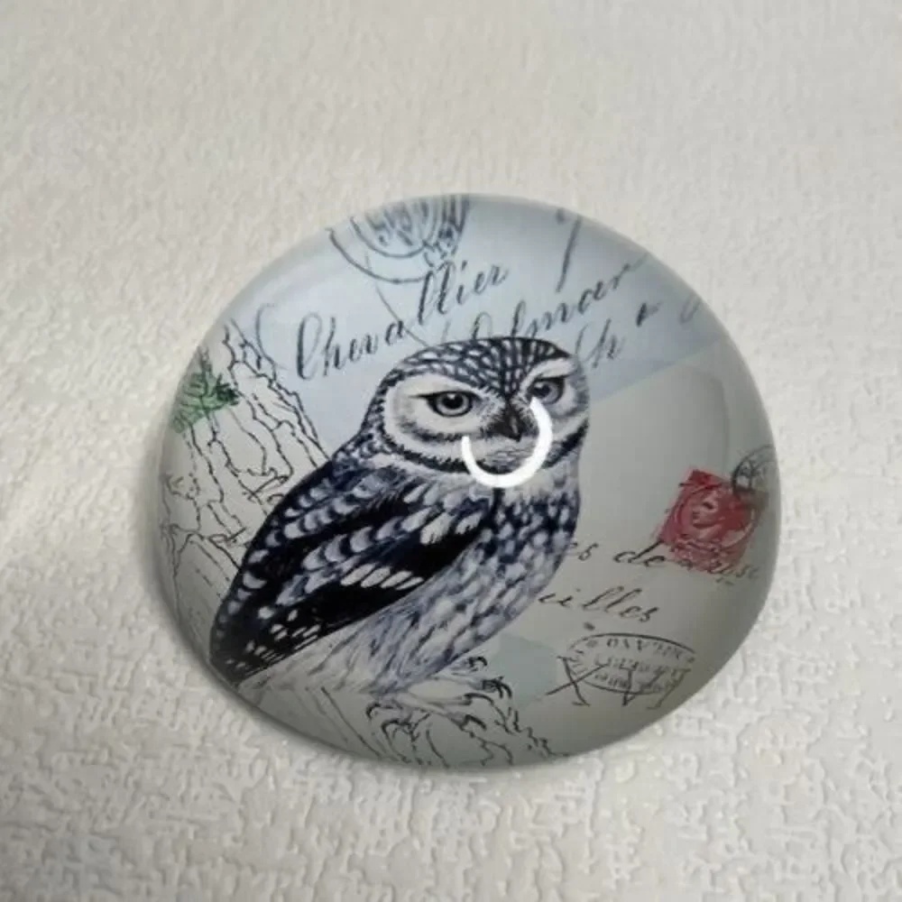 Vintage Art Glass Owl Print Living Wisdom Dome Round‎ Paperweight 1.3
